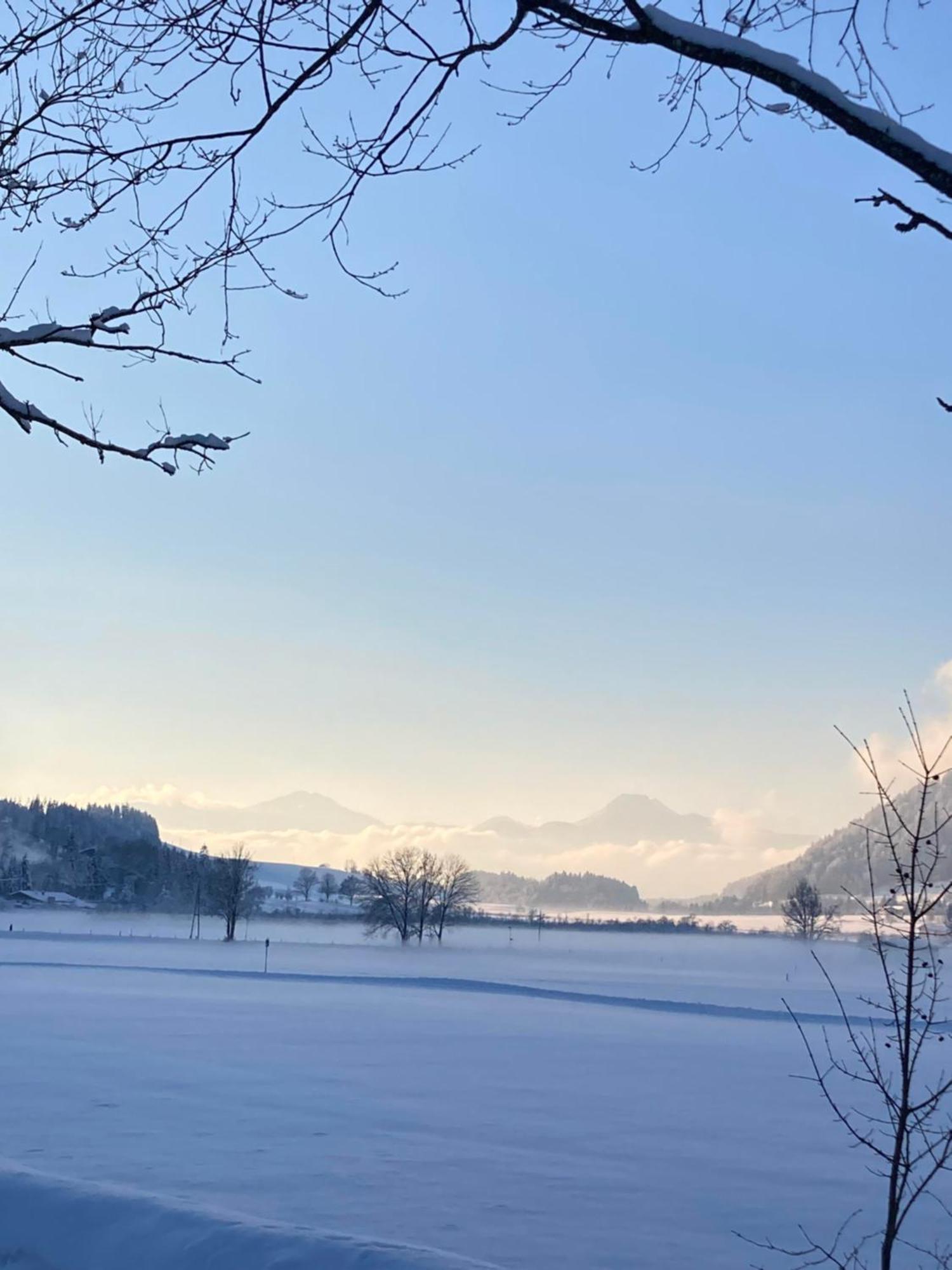 Tanja'S Kaiserdomizil Walchsee Exterior photo