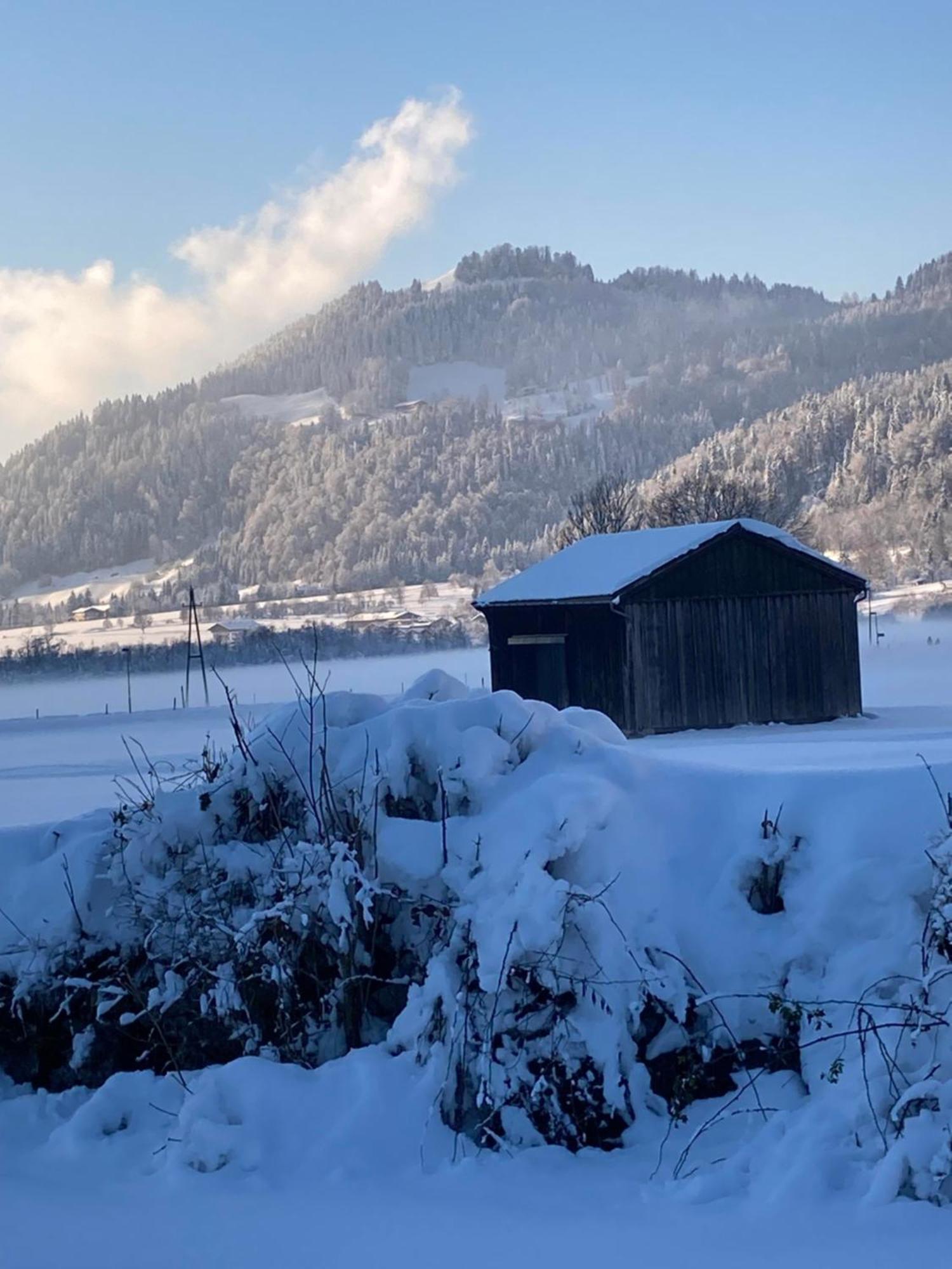 Tanja'S Kaiserdomizil Walchsee Exterior photo